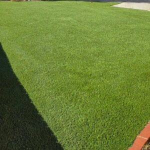 Evo1, Synthetic Grass Techs, front yard artificial installation, Moreno Valley CA.