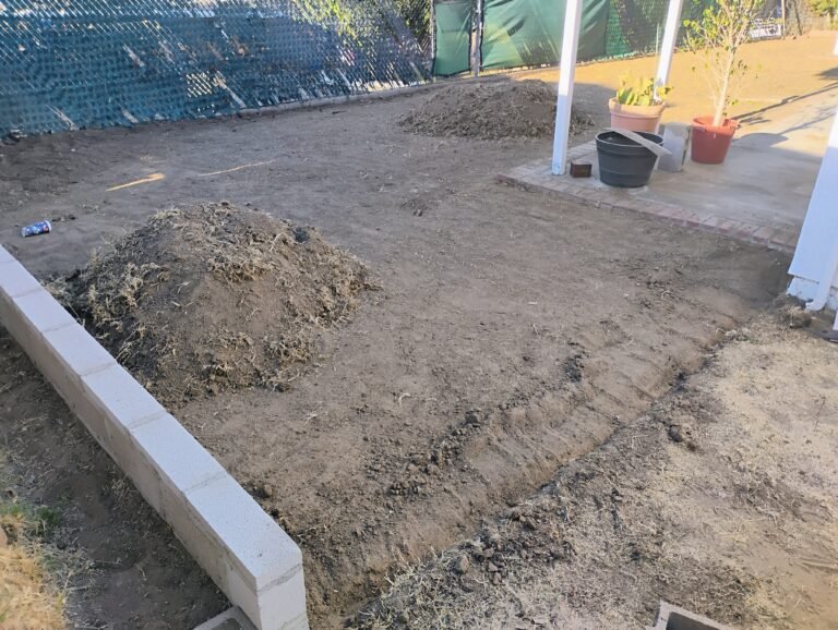 IMG_20241113_151948548_HDR_AE