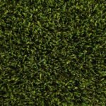 Artificial Grass Heritage 1