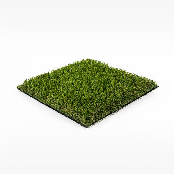 Legacy - Image 2