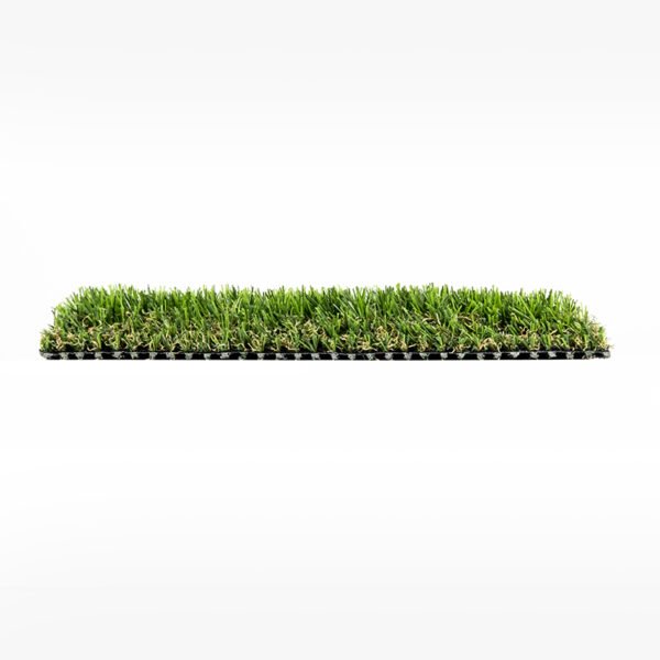 Eco 74 - Image 2