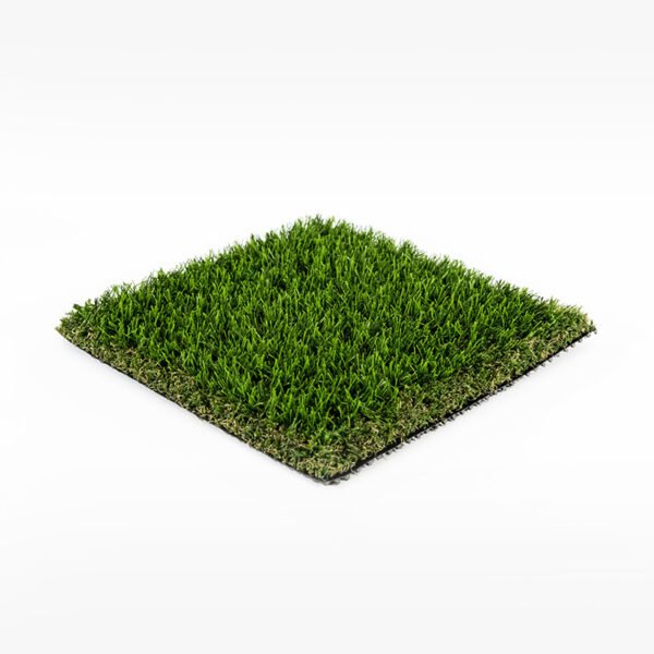 Eco 74 - Image 3