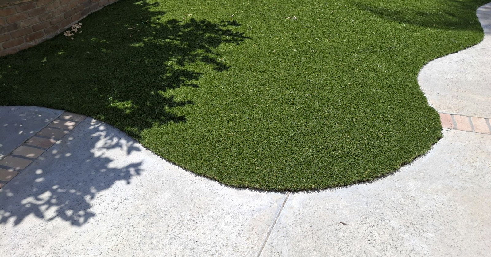 Curved artificial grass lawn next to a pool deck in full sun