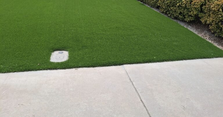 Front lawn of artificial grass that never needs watering
