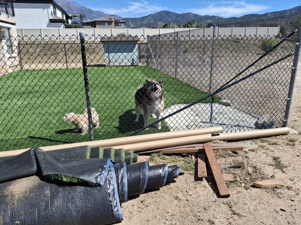 Pet turf installed inside a chain-link dog run
